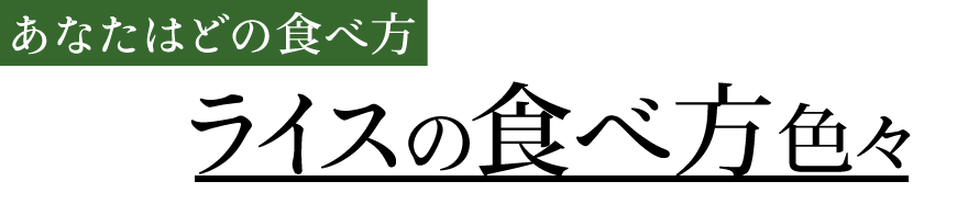 ライスの食べ方色々